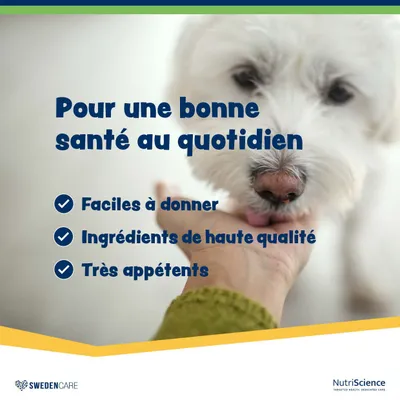 NutriScience WelliChews Digestion