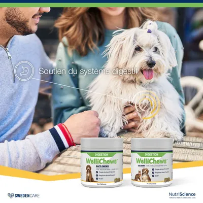 NutriScience WelliChews Digestion