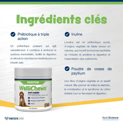 NutriScience WelliChews Digestion