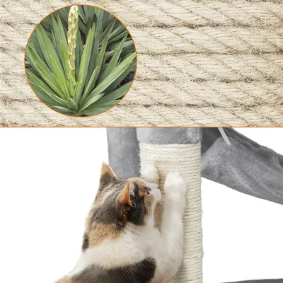Arbre à Chat Multiniveau Griffoir Pour Chat Avec 2 Perchoirs 2 Grottes