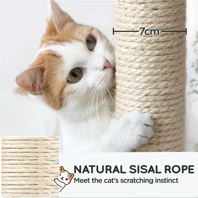 Yaheetech Arbre à Chat Design Yaheetech Arbre à Chat Design