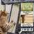 Yaheetech Arbre à chat Solide et Robuste