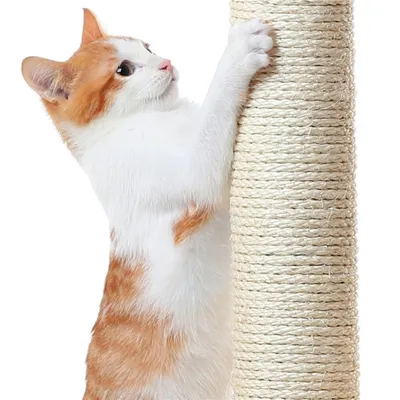 Yaheetech Arbre à chat Solide et Robuste