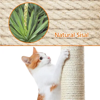 Yaheetech Arbre à Chat Robuste en Bois