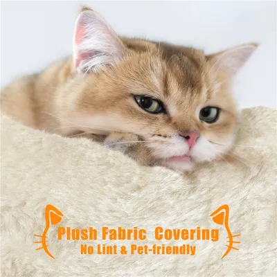 Yaheetech Petit Arbre à Chat avec Litière