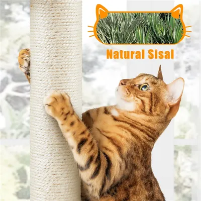 Yaheetech Petit Arbre à Chat avec Litière