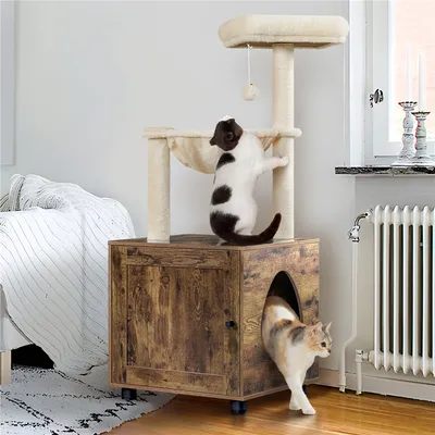 Petit Arbre à Chat Avec Litière, Niche Et Panier Griffoirs Cordes En Sisal