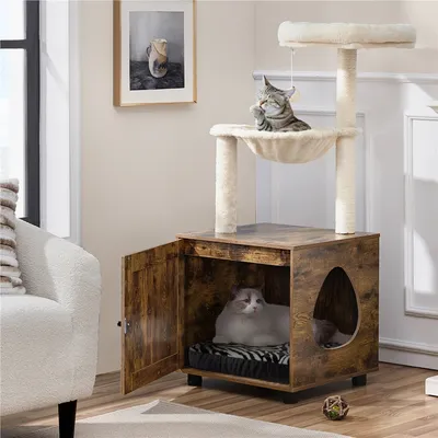 Petit Arbre à Chat Avec Litière, Niche Et Panier Griffoirs Cordes En Sisal