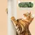 Yaheetech Arbre à Chat avec Litière