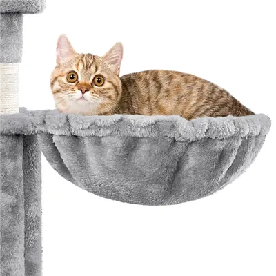 Yaheetech Arbre à Chat Robuste en Bois Yaheetech Arbre à Chat Robuste en Bois