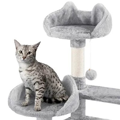 Yaheetech Arbre à Chat Robuste en Bois Yaheetech Arbre à Chat Robuste en Bois