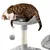 Yaheetech Arbre à Chat Élégant et Mignon
