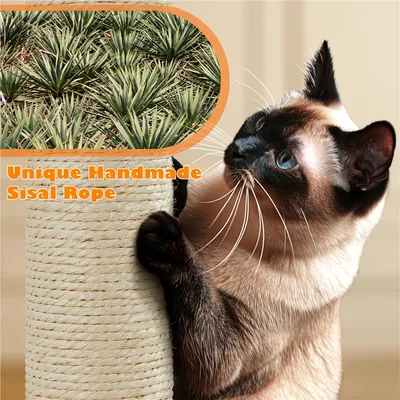 Yaheetech Arbre à chat Aspect Mignon Yaheetech Arbre à chat Aspect Mignon