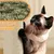 Kratzbaum 158cm hoch Katzenbaum Stabil Kletterbaum Katzenkratzbaum