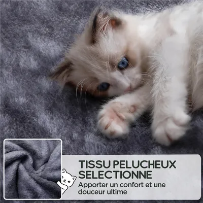 Yaheetech Arbre à Chat Design