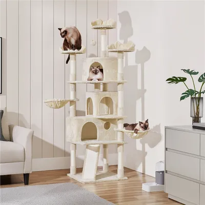 Arbre à Chat Multiniveau Avec Multiples Perchoirs Cachettes Griffoir