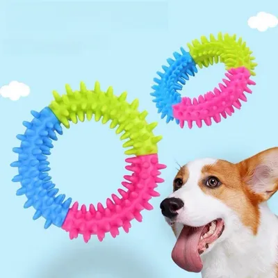 CoolPetGear Jouet à Mâcher Coloré pour Chien