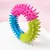 CoolPetGear Jouet à Mâcher Coloré pour Chien