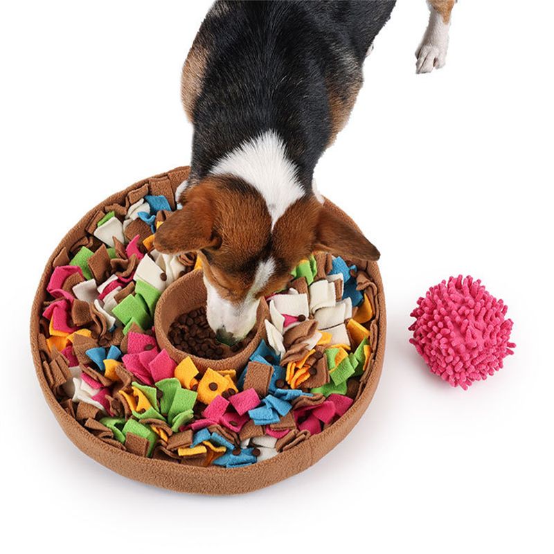 CoolPetGear Interaktiver Hundenapf