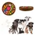 CoolPetGear Bol d'Alimentation Interactif pour Chiens