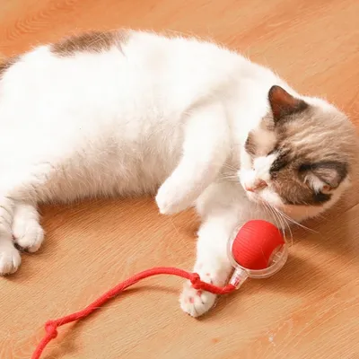 IntiMeg Jouet interactif, balle automatique pour chat