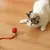 IntiMeg Jouet interactif, balle automatique pour chat