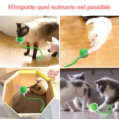 IntiMeg Balle interactive avec corde pour chat IntiMeg Balle interactive avec corde pour chat