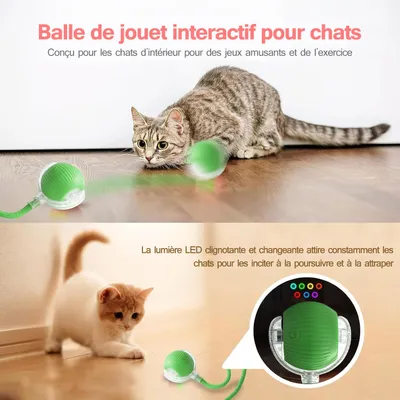 IntiMeg Balle interactive avec corde pour chat IntiMeg Balle interactive avec corde pour chat