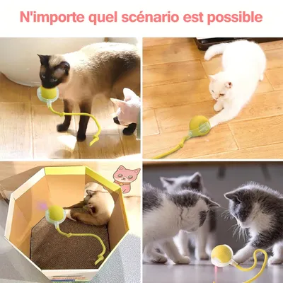 IntiMeg Balle interactive avec corde pour chat IntiMeg Balle interactive avec corde pour chat