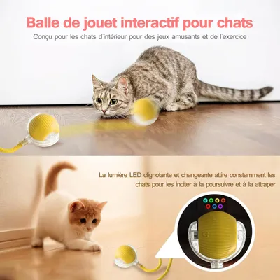IntiMeg Balle interactive avec corde pour chat IntiMeg Balle interactive avec corde pour chat