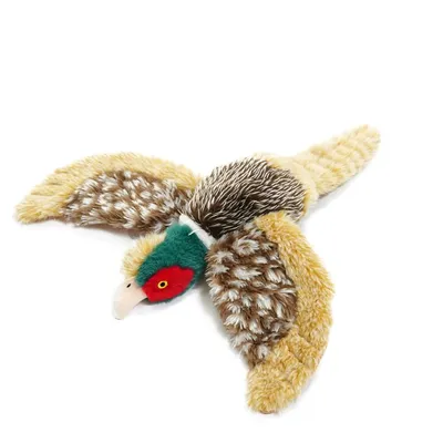 IntiMeg Jouet en peluche pour chien