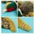 IntiMeg – Hundespielzeug Mallard IntiMeg – Hundespielzeug Mallard