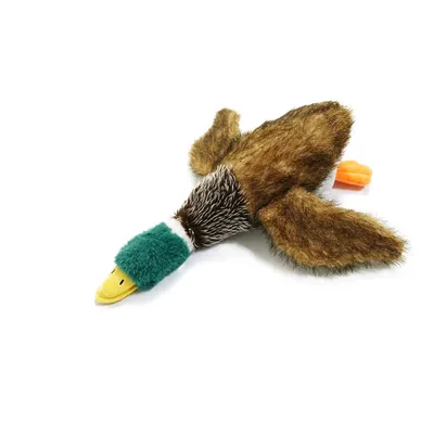 IntiMeg Jouet en peluche pour chien