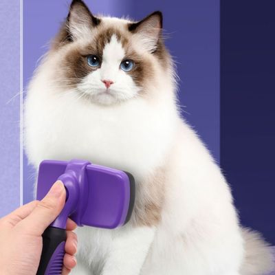 IntiMeg Brosse de nettoyage pour chat