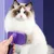 IntiMeg Brosse de nettoyage pour chat