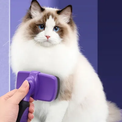 IntiMeg Brosse de nettoyage pour chat