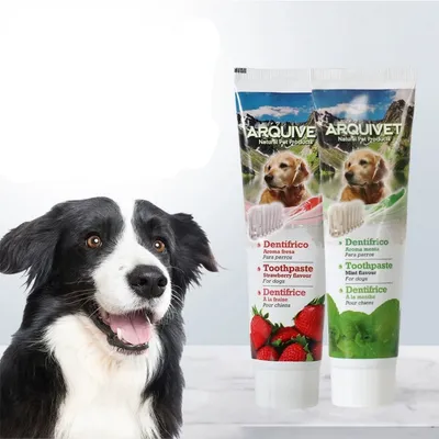 IntiMeg Ensemble hygiène dentaire pour chien
