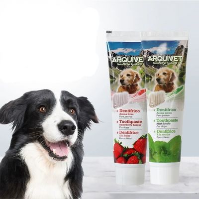 IntiMeg Ensemble hygiène dentaire pour chien