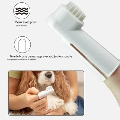 IntiMeg Ensemble hygiène dentaire pour chien