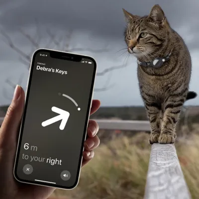 IntiMeg Collier réfléchissant et compatible Airtag pour chat