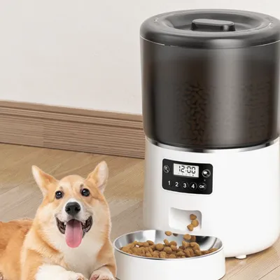 IntiMeg Distributeur de nourriture automatique