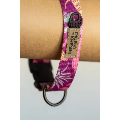 PieskiwKreski Collier pour chien Bonita