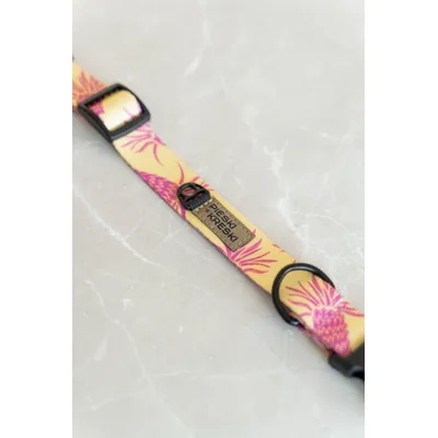 PieskiwKreski Collier pour chien Bonita