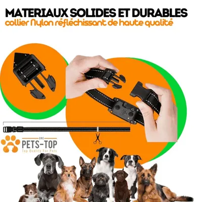 Collier d'entrainement sans douleur pour chien