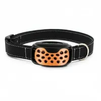 Collier d'entrainement sans douleur pour chien