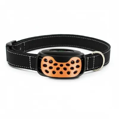 Collier d'entrainement sans douleur pour chien