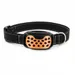 Collier d'entrainement sans douleur pour chien