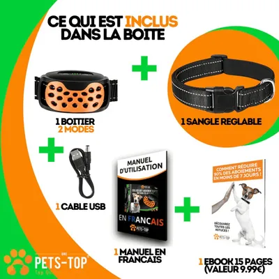 Collier d'entrainement sans douleur pour chien