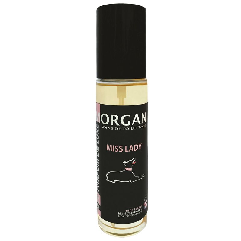 Parfum Morgan Lady