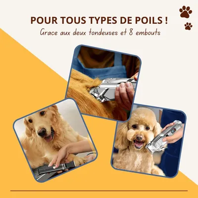 Tondeuse pour pattes et pelage Oneisall RFC-676+P20